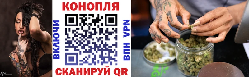 ГАШ Гусев
