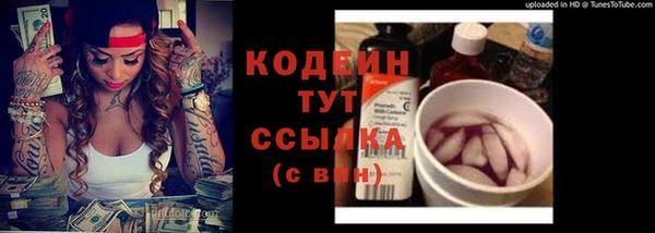 прущие грибы Горнозаводск