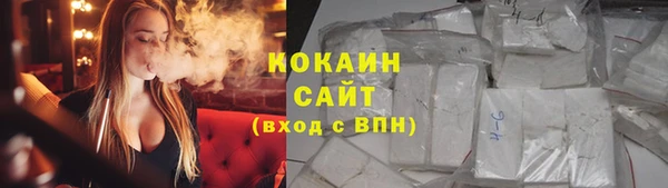 a pvp Горняк