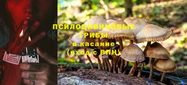 прущие грибы Горнозаводск
