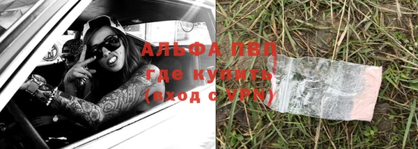 сатива Гусев