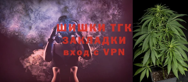 прущие грибы Горнозаводск