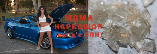 прущие грибы Елизово