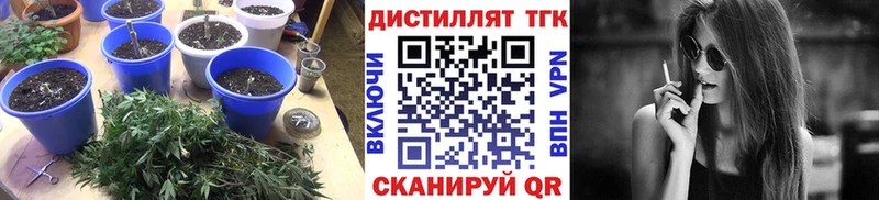 Дистиллят ТГК жижа Гусев