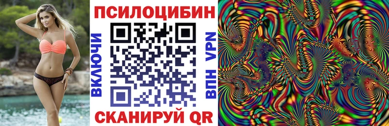 цены   Гусев  Псилоцибиновые грибы GOLDEN TEACHER 
